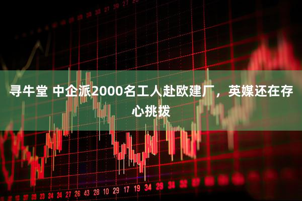 寻牛堂 中企派2000名工人赴欧建厂，英媒还在存心挑拨